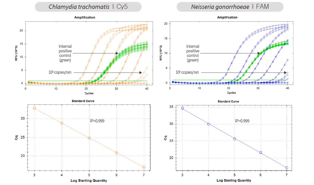 Mediforum MF CT/NG Fast Results